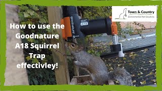 Goodnature A18 Squirrel Trap [upl. by Legnalos481]