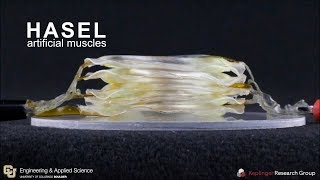 HASEL actuators with musclelike performance [upl. by Maxine]