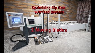 2015 Weinig Raimann Variorip 310 M Optimizing Rip Saw wInfeed System 2 Moving Blades [upl. by Aicilas403]