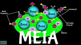 Microparticle Enzyme Immunoassay  MEIA Assay [upl. by Nbi152]