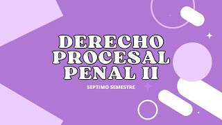 DERECHO PROCESAL PENAL II  13 DE FEBRERO [upl. by Allyce]