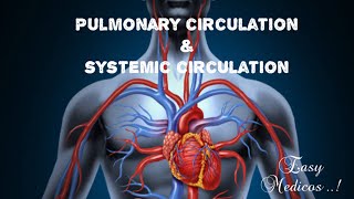 Pulmonary and systemic circulation  in malayalam [upl. by Deacon]