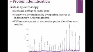 023Mass Spectroscopy [upl. by Onateyac]