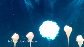 Underwater Explosions  Slow Motion Dry Ice Bomb [upl. by Stanwinn]