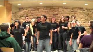 Breaking Free  The Aristocats  Washington University Disney A Cappella [upl. by Zedekiah]