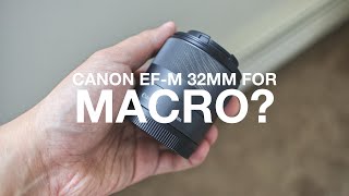 Canon EFM 32mm f14 for Macro  Canon M50 [upl. by Gavini]