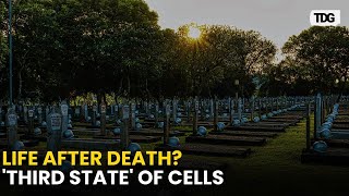 The Hidden Third State What Happens to Cells After Death [upl. by Eyar932]