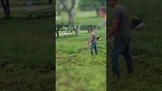 ASMR Garden Transformation Cutting Tall Grass and Yard Cleanup [upl. by Poirer]