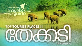 Thekkady  തേക്കടി  Travel Guide  Kerala Travel Places  തേക്കടിയിലെ മനോഹരകാഴ്ചകൾ [upl. by Lukin]