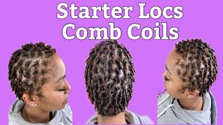 Starter Locs Tutorial  How To Start Locs On Short Hair [upl. by Meean]