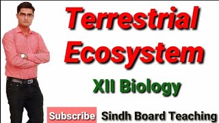 Terrestrial Ecosystem Biome XII Biology [upl. by Kapoor]