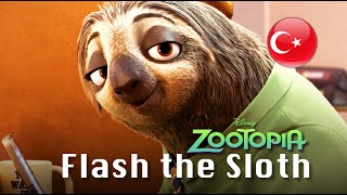 Zootopia  Flash the Sloth  Turkish Subs  Trans [upl. by Inahpets]