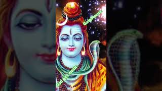 Nagendra haraya trilochanaya song 🙏🌺🙏 [upl. by Sweeney]