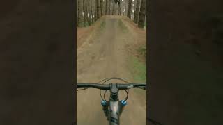 Side of Fries  Fun Jump line at Woodhill mtb [upl. by Aihtennek]