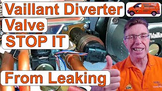 Vaillant Diverter Valve Leaking Simple Maintenance to STOP it from Leaking [upl. by Asselam417]