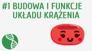 Budowa i funkcje układu krążenia 1  Krążenie [upl. by Akitnahs]