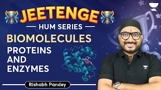 Biomolecules  Proteins and Enzymes  Rishabh [upl. by Carlock]