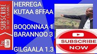 Herrega kutaa 8ffaa Boqonnaa 1 Barannoo 3 gilgaala 13 [upl. by Rimidalv]