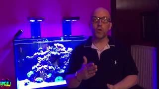 Video Aquarium Récifal Je présente vos bacs 1 [upl. by Batruk70]