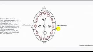 Understanding EEG Part 4 1020 electrode placement system used in electroencephalography EEG test [upl. by Garek]