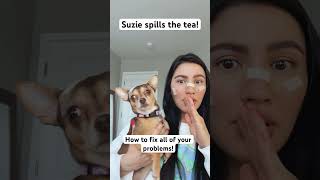 Suzie spills the tea doglovers chihuahua dogloversofig dogmom dogshorts funnydogs funnydogs [upl. by Nohsed730]