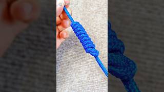 YCBKnots 242，This is a shortened knot which can be a decorative knotdiy viral shorts绳结knots [upl. by Lehcsreh]