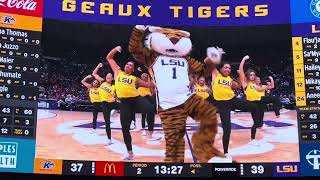 LSU TIGER GIRLS Perform wMIKE the TIGER LIVE lsu dancers danceteam ​⁠placesletsgeaux6668 [upl. by Rawden]