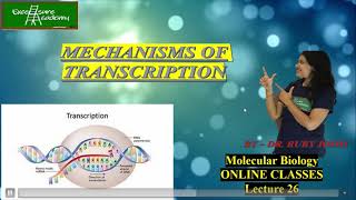 Transcription Mechanism Lecture26Online Class Mol Bio Eukaryotic Transcription CSIR [upl. by Sihonn378]