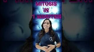 Mitosis A Fascinating Journey Inside Cells🔥mitosis ytshorts youtubeshorts biology shorts [upl. by Yesak483]