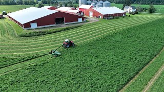 Making Gorgeous Alfalfa with my Dad Step by Step Guide [upl. by Mayes118]