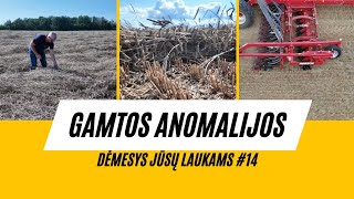 Dėmesys Jūsų laukams 14 apie gamtos anomalijas draudiminius įvykius ir sėją [upl. by Ciapas]