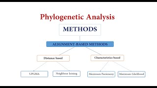 Methods of Phylogenetic Analysis [upl. by Asirehc]