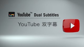 YouTube视频翻译插件：YouTube 双字幕 [upl. by Sweet]