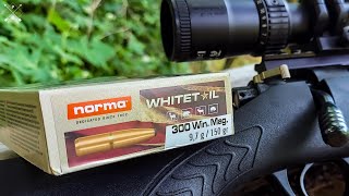 Norma Whitetail 300 Win Mag  100 Yard Group Test [upl. by Sonahpets]