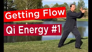 Taichi Qigong 18 Sections set 1 How to Boost your Immune System wwwmasternejadcom [upl. by Nnyla557]