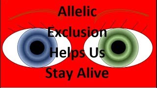 How Allelic Exclusion Helps YOU Stay Alive [upl. by Nivonod310]