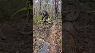 Log hopping single blip method dirtbike dirtbikesarefun enduro beta [upl. by Nydnarb]