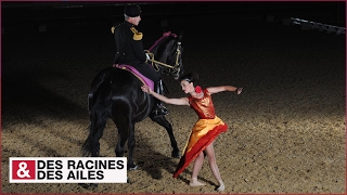 Spectacle du Cadre Noir élite de la cavalerie française [upl. by Evangelin]