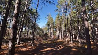 Walk with us through BUCKHORN STATE PARK in Necedah Wisconsin Hike Hiking forest fall day [upl. by Anelys]