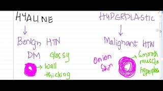 hyperplastic and hyaline arteriosclerosis  Pathology [upl. by Dev]