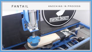 Knocking In Your Cricket Bat With Fantail 2017 [upl. by Roper]