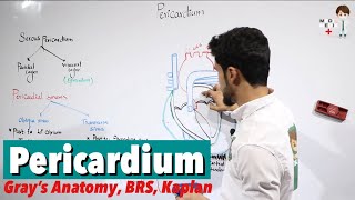 Pericardium Anatomy 50 [upl. by Nainatrad]