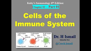 Cells of the Immune System  Immunology Chapter 02  Part 01  Innate and Adoptive Cells [upl. by Ttennaj]