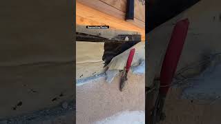 Stucco is LAME 2024 stucco renovation exteriordesign diy removal construction remodel [upl. by Ulyram522]