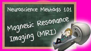 Magnetic Resonance Imaging MRI explained  Neuroscience Methods 101 [upl. by Demetria]