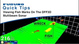 Furuno Quick Tips  Viewing Fish Marks on the DFF3D Multibeam Sonar [upl. by Aniakudo995]