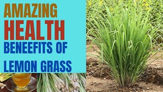 AMAZING HEALTH BENEFITS OF LEMON GRASS [upl. by Hilleary]