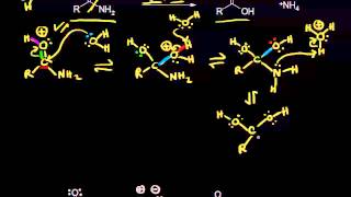 Acid and basecatalyzed hydrolysis of amides  Organic chemistry  Khan Academy [upl. by Storz557]