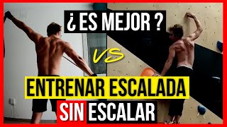 🔴Entrenamiento de escalada SIN ESCALAR 6 EJERCICIOS para ESCALADA en CASA EJERCICIOS TRX escalada [upl. by Tarsuss]