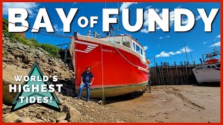 🍁😲 Bay of Fundy Tides are INCREDIBLE Where to See Worlds Highest Tides  Newstates eh 🍁 Ep 10 [upl. by Miquela]